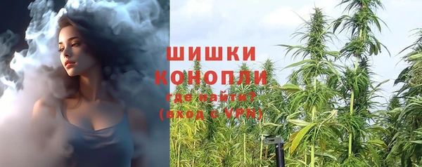 спиды Арсеньев