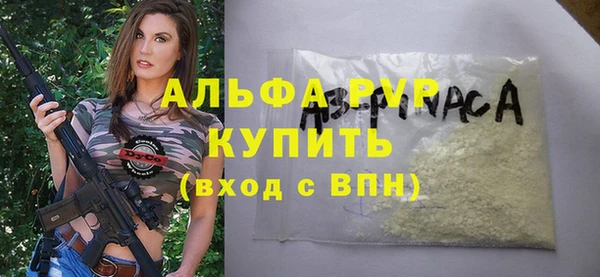 крисы Баксан
