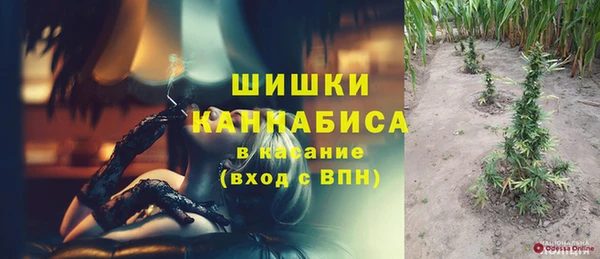 крисы Баксан