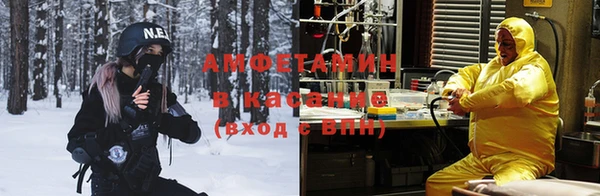 крисы Баксан