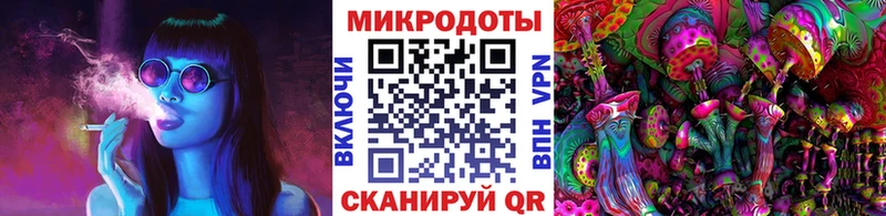 Галлюциногенные грибы мицелий наркота OMG ссылки Цивильск